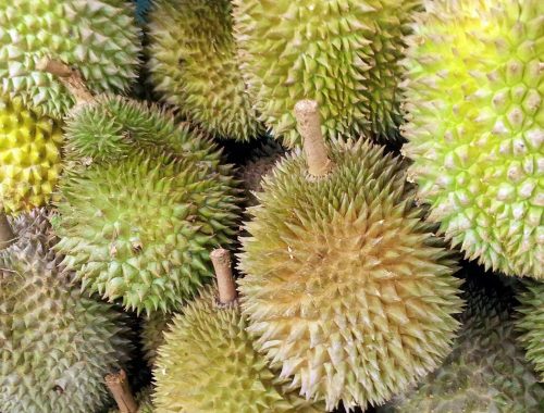 Menu Pelik Raja Buah. Ada Yang Berani Cuba?