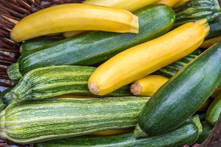 Courgettes-768