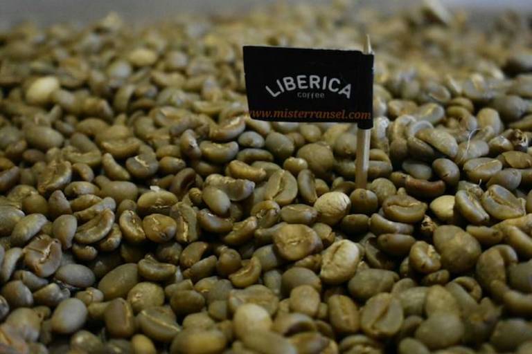 Liberika-liberica coffee