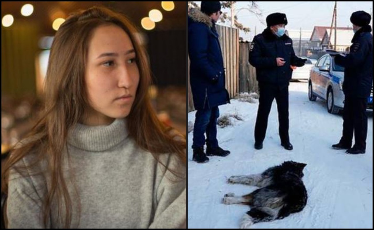 Wanita Rusia Koma Diserang 10 Ekor Anjing
