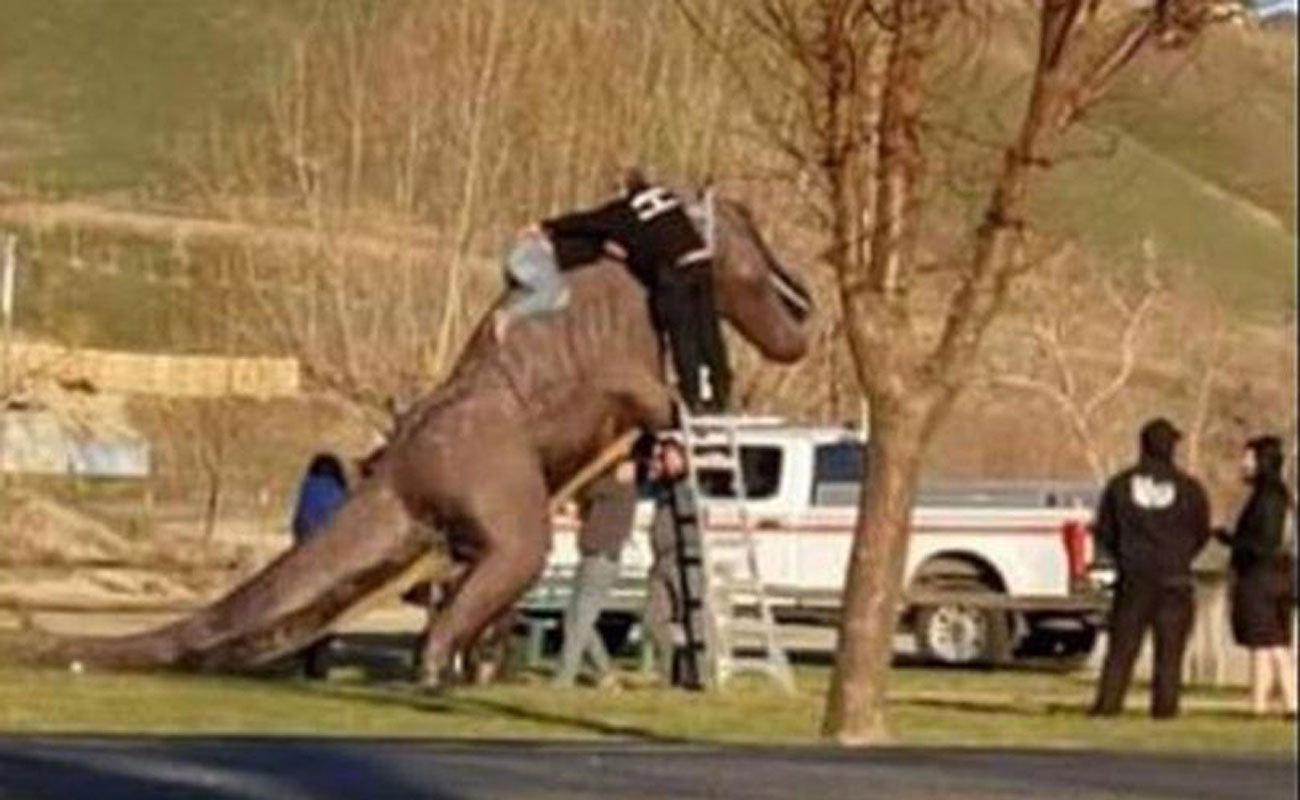 Niat Saja-Saja Wanita Ini Bertukar Setelah Terperangkap Atas Patung Dinosaur