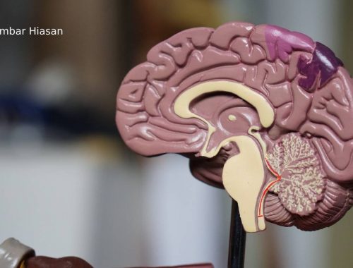Didakwa Buang Satu Bahagian Otak Sebab Selalu Rasa Bimbang & Panik