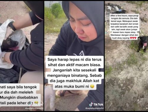 Jumpa Anjing Dalam Guni, Aqilah Yuhanis Menangis Terharu Jadi Penyelamat
