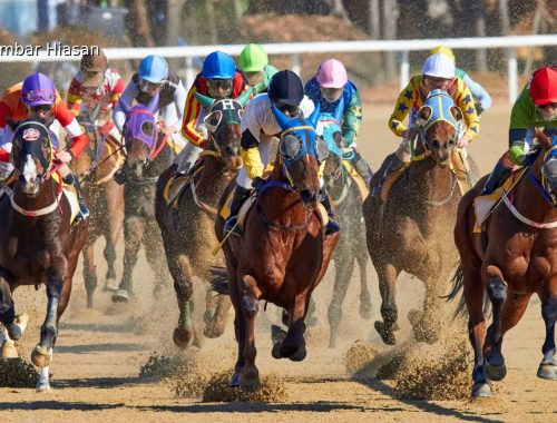 Kemalangan Ketika Aksi Lumba Kuda, Pelumba Kuda Laura Lafferty Cedera Parah