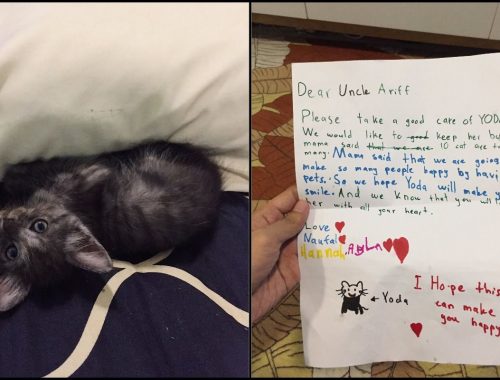 Ariff Terharu Dapat Surat Comel Ketika ‘Adopt’ Kucing