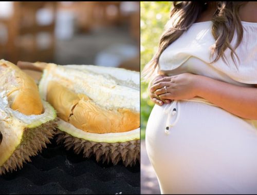 Ibu Mengandung Tidak Boleh Makan Durian Fakta Atau Mitos