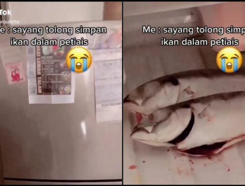 Minta Suami Simpan Ikan Dalam Peti Sejuk, Tapi Kenapa Jadi Macam Ini