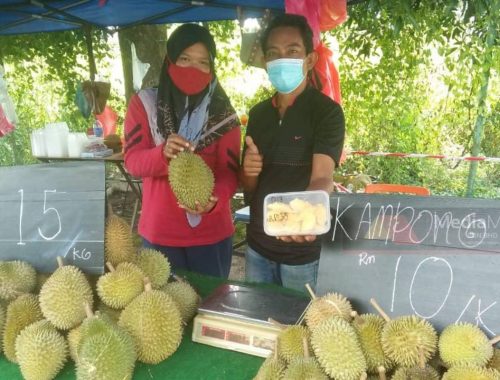 Pengusaha Terpaksa Buang 1 Tan Durian, Rugi RM10,000