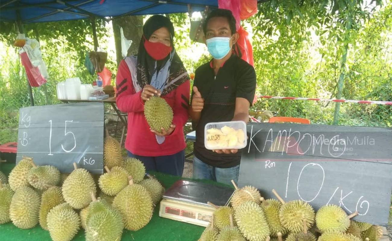 Pengusaha Terpaksa Buang 1 Tan Durian, Rugi RM10,000