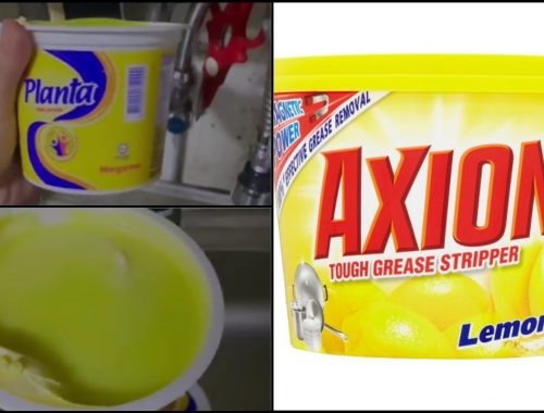 Rupa Lebih Kurang Sama, Bapa Tertukar Axion Dengan Planta Undang Tawa Warganet