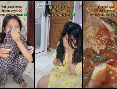 Tengah Sedap Makan Tak Sangka Dapat ‘Bonus’ Sambal Cicak