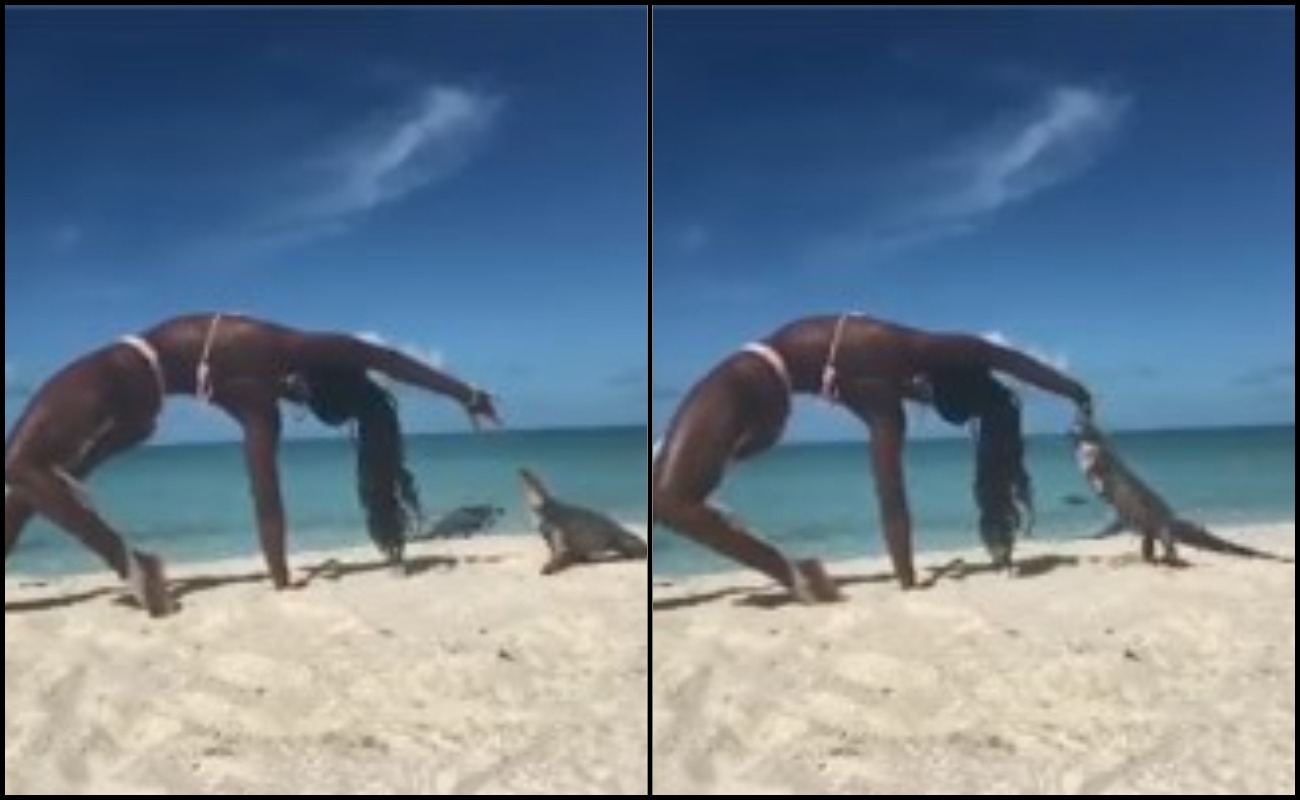 Baru Nak Bersenam, Wanita Digigit Iguana Tepi Pantai