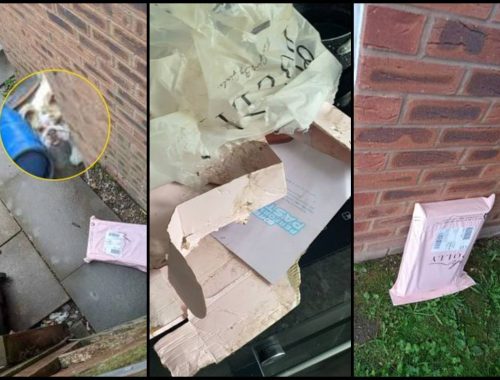 Hancur Tiga Gaun Hermes, Punca Sikap Sambil Lewa Penghantar Kurier