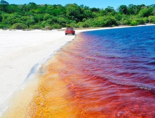 Laut ‘Coca-Cola’, Tarikan Luar Biasa Di Brazil