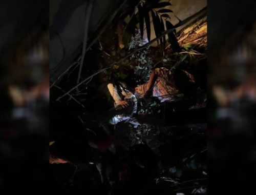 Puas Pujuk! Penganggur Didakwa Sembunyi Atas Pokok Lepas Pecah Masuk Pejabat