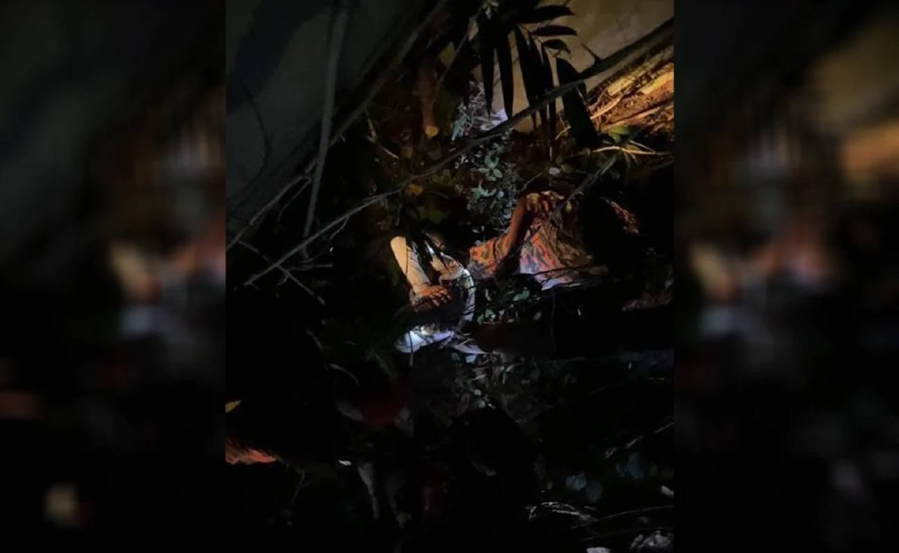 Puas Pujuk! Penganggur Didakwa Sembunyi Atas Pokok Lepas Pecah Masuk Pejabat