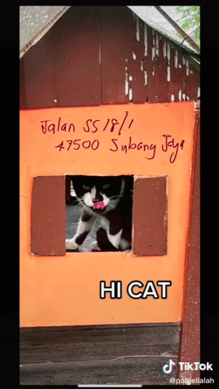 rumah kucing yang lengkap dengan alamat-Jalan SS 18 1 Subang Jaya