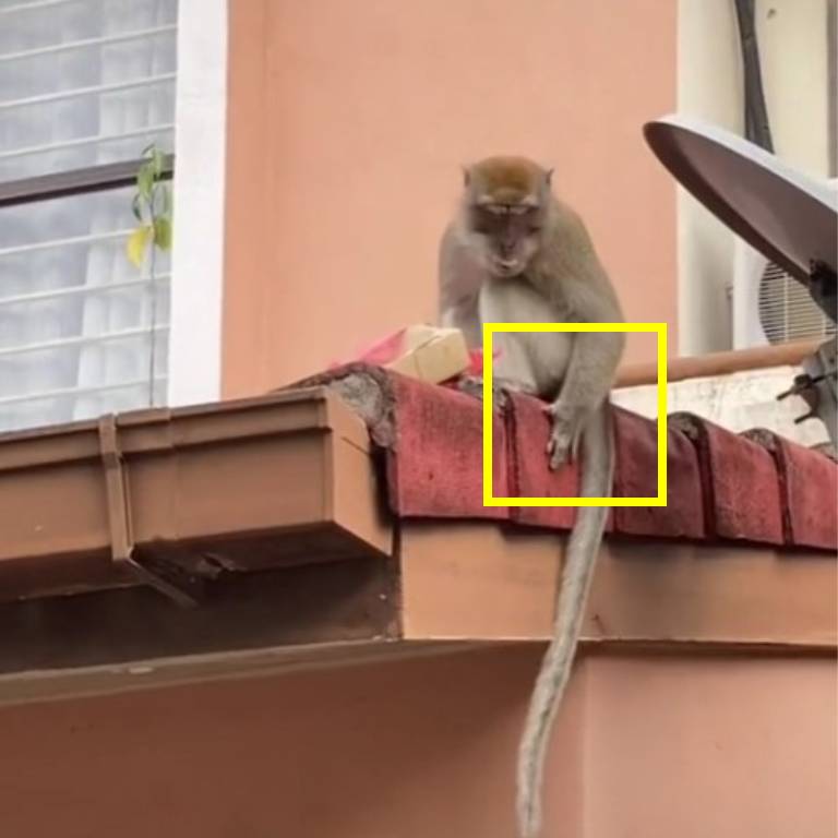 si monyet yang menikmati keropok lekor di atas bumbung rumah siap sempat lap tangan lagi