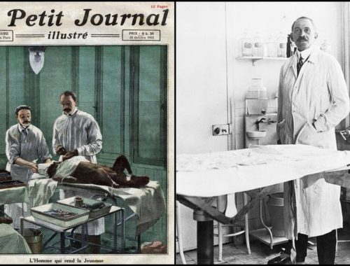 by the 1930s, medical science had moved on and testicle transplants had fallen out of fashion