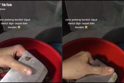 Wanita Ajar Cara Cepat Potong Siput Sedut, Fungsi Sebenar Lubang Pada Hujung Pisau