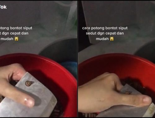 Wanita Ajar Cara Cepat Potong Siput Sedut, Fungsi Sebenar Lubang Pada Hujung Pisau