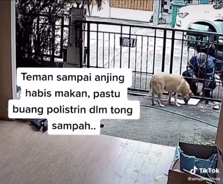 abang-rider-teman-sampai-anjing-habis-makan