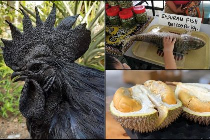 Ikan Siakap Mahal Ini Dia Senarai Makanan Harga Kayangan Lain Di Malaysia!