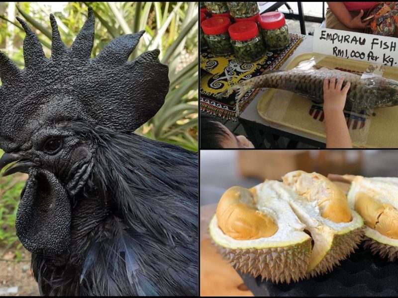 Ikan Siakap Mahal Ini Dia Senarai Makanan Harga Kayangan Lain Di Malaysia!