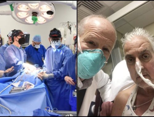 Guna Jantung Babi Untuk Ganti Jantung Manusia, Pembedahan Berjaya Tapi Halal Atau Tidak_