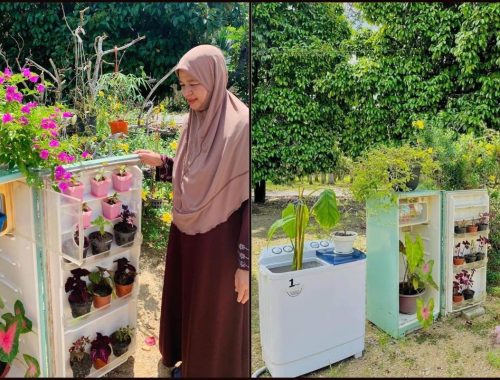 Kreatif! Wanita Manfaat Mesin Basuh & Peti Sejuk Rosak Sebagai Pasu Untuk Bercucuk Tanam