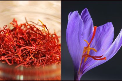 Suka juga layan Ah Leong jawab soalan dari followers dia. Kelakar! #ManisMaduMY #SembangBersamaMadu #AhLeong #Amoi #IniBukanPen https://manismadu.com.my/ini-bukan-pen-ini-tuhan-saya-gadis-berbangsa-cina-jawab-fungsi-barang-digantung-pada-kolar-baju/