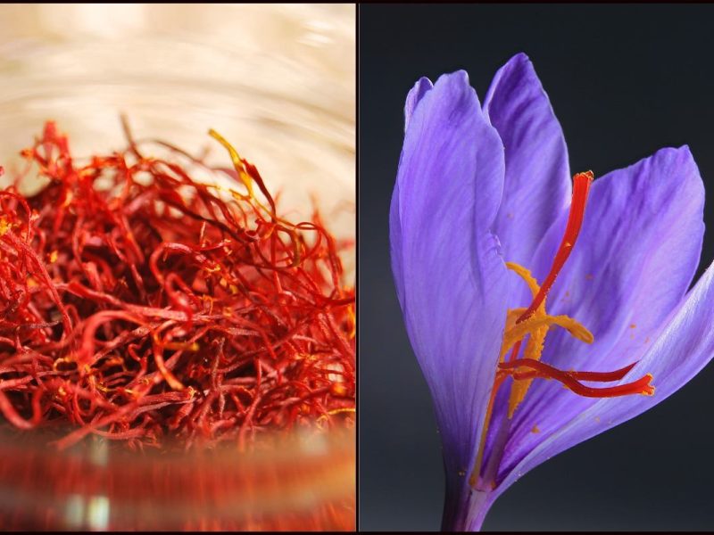 Suka juga layan Ah Leong jawab soalan dari followers dia. Kelakar! #ManisMaduMY #SembangBersamaMadu #AhLeong #Amoi #IniBukanPen https://manismadu.com.my/ini-bukan-pen-ini-tuhan-saya-gadis-berbangsa-cina-jawab-fungsi-barang-digantung-pada-kolar-baju/