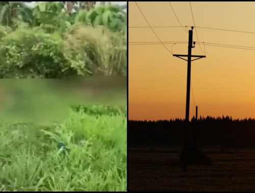 Cedera Parah Di Kepala, Dua Kanak-Kanak Maut Selepas Langgar Tiang Elektrik