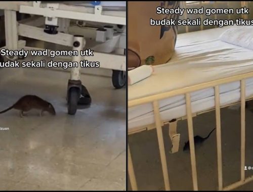 Geli! Pesakit Terjerit Tengok Tikus ‘Beraksi’ Dalam Wad Hospital