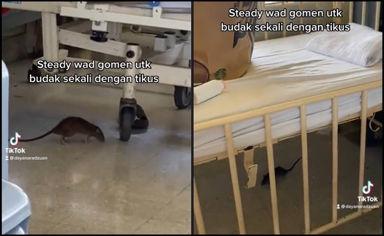 Geli! Pesakit Terjerit Tengok Tikus ‘Beraksi’ Dalam Wad Hospital