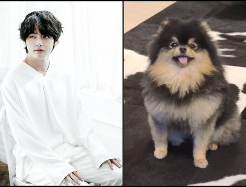Muat Naik Gambar Anjing Peliharaan Dapat 19 Juta Tanda Suka, Taehyung Buktikan Dia ‘Raja Media Sosial’