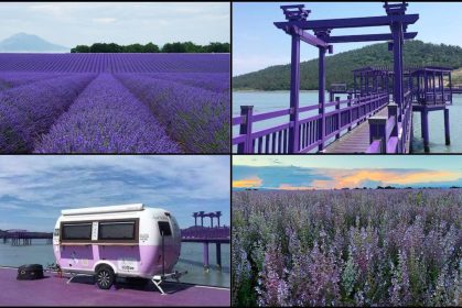 Terpaling Purple! Terpegun Tengok 5 T