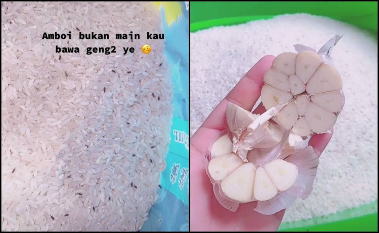 Pecah Peluh Nak Hilangkan Kutu Beras, Rupanya Boleh Settle Dengan Bawang Putih Jerr!
