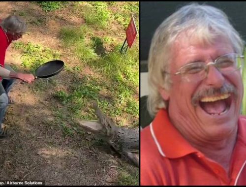 Ketuk Kepala Buaya Dengan Kuali, Pemilik Pub Dipuji Berani