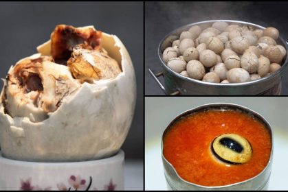 Nak Termuntah Tengok! 5 Makanan Jijik & Eksotik Ini Akan Buat Korang Mual Sampai Tak Lalu Nak Makan