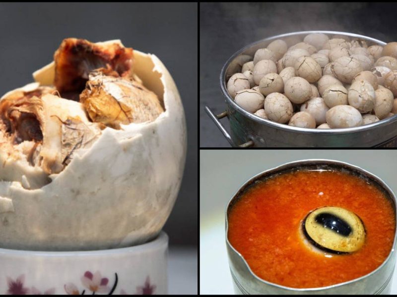 Nak Termuntah Tengok! 5 Makanan Jijik & Eksotik Ini Akan Buat Korang Mual Sampai Tak Lalu Nak Makan