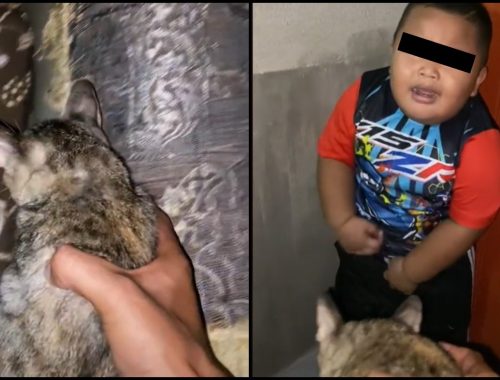 “Tak Kelakar, Kesian Dia!” Takutkan Ka