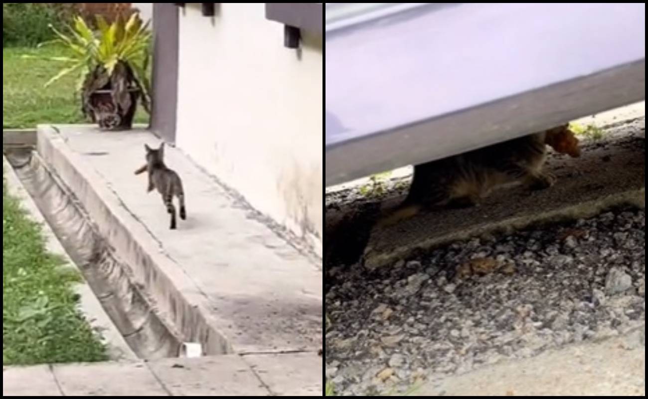 “Aku, Dia Dan Ayam” Adegan Kejar Mengejar Undang Ketawa Ramai!