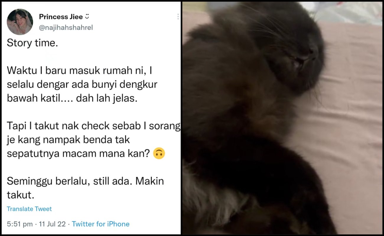 Terdengar Bunyi Aneh Bawah Katil, Wanita Terkejut Jumpa Makhluk Hitam Berbulu