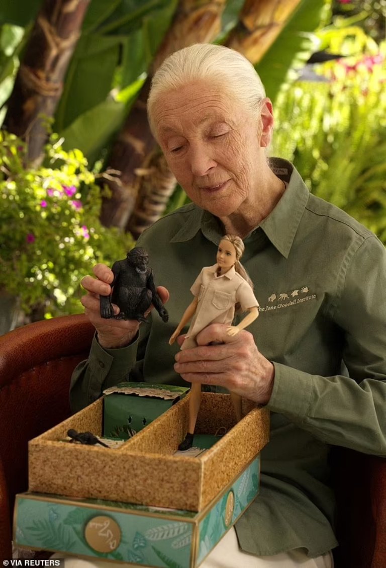 The doll has been created alongside the Jane Goodall Institute