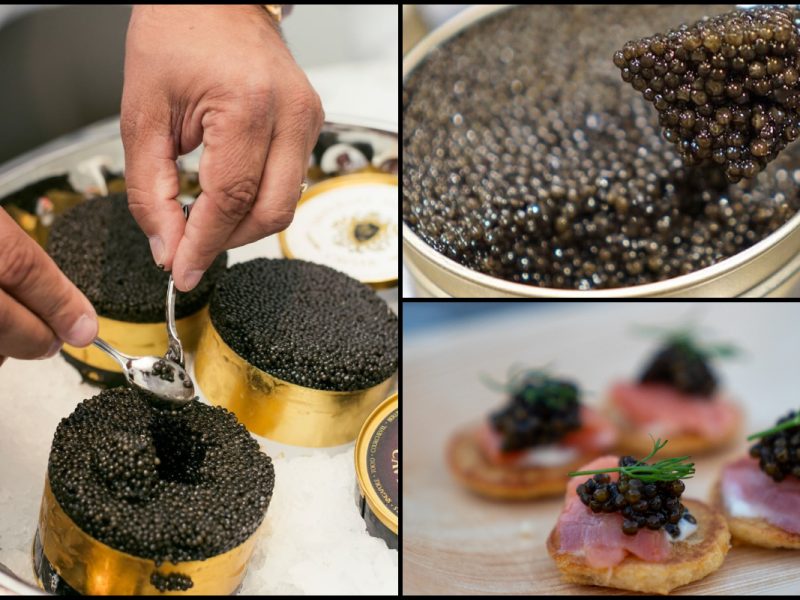Mencecah Ratusan Ribu Ringgit, Ini Sebabnya Kenapa Harga Kaviar Mahal!
