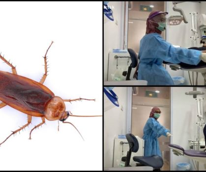 Lipas Oh Lipas! Doktor Gigi Dan Pesakit Melompat Panik Gara-Gara Makhluk Itu